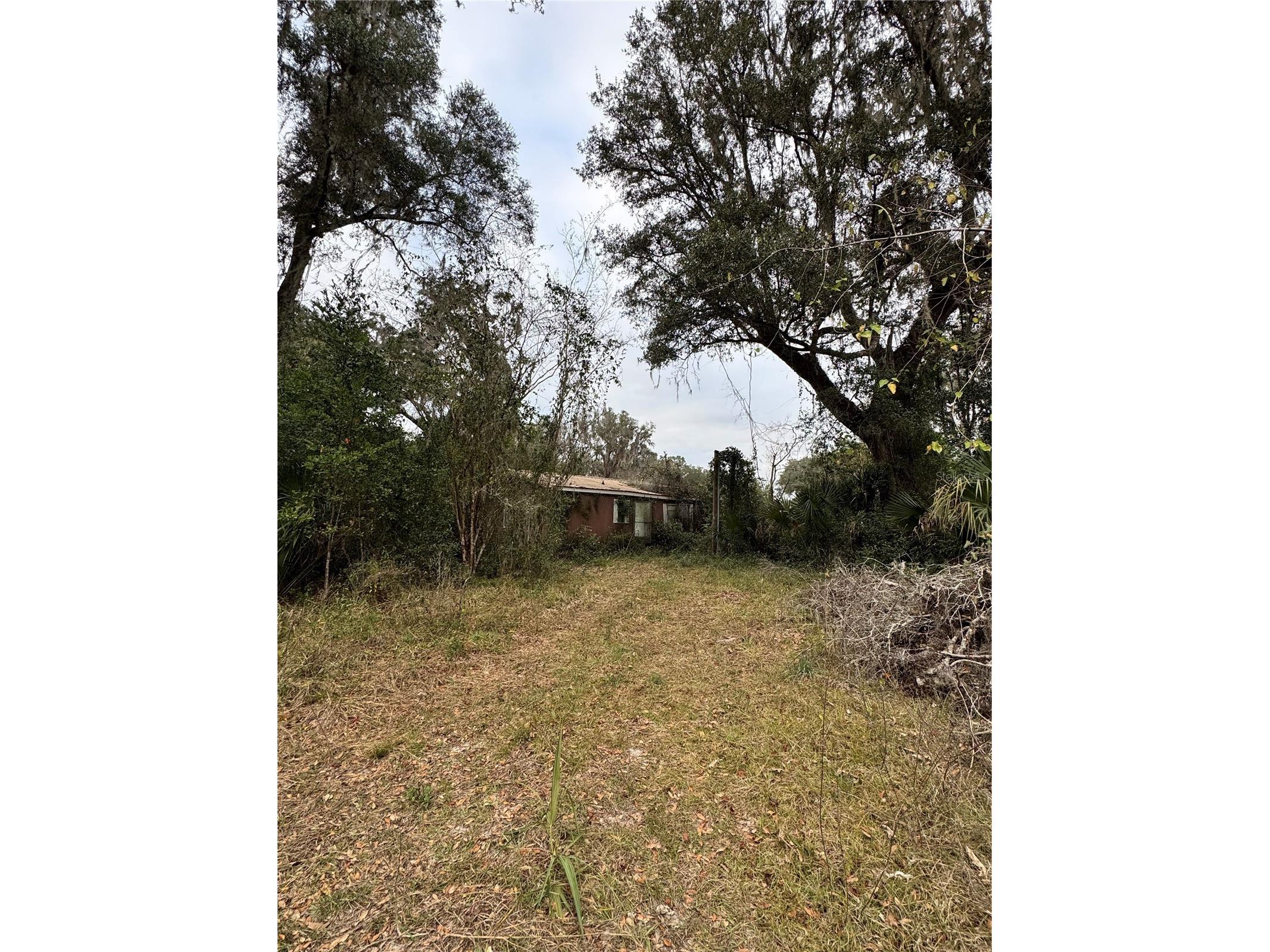291 SE 81st Street Ocala FL 34480 OM716429 image2