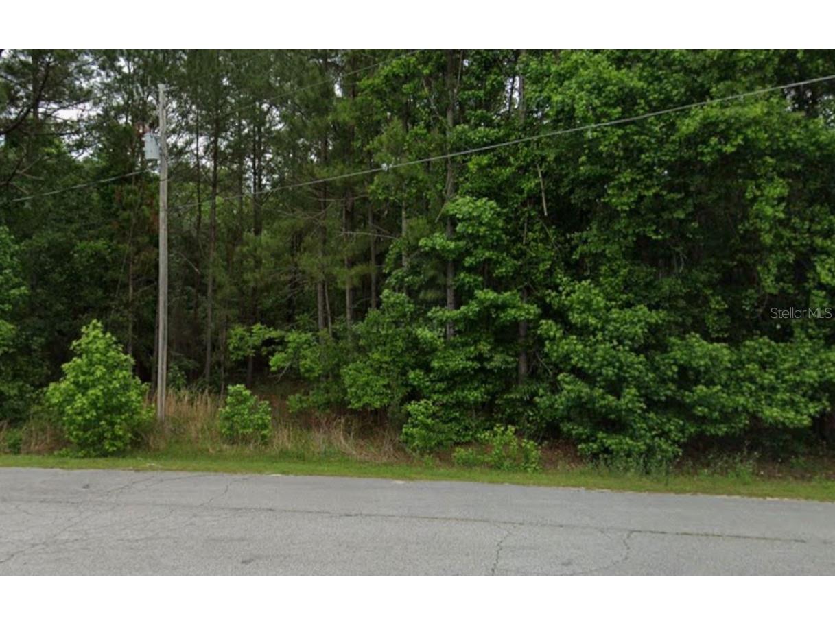 291 SW Pine Forest Court Lake City FL 32024 C7518684 image1