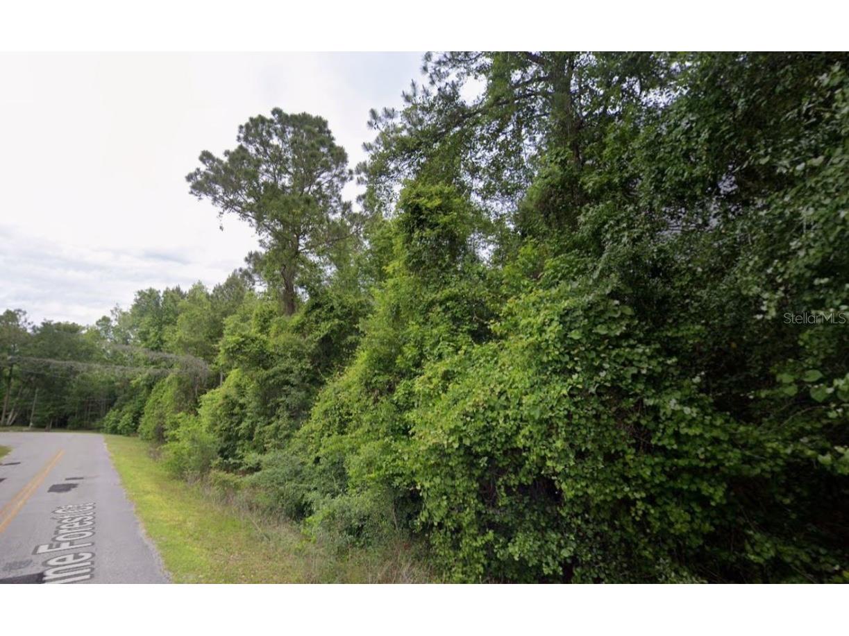 291 SW Pine Forest Court Lake City FL 32024 C7518684 image2