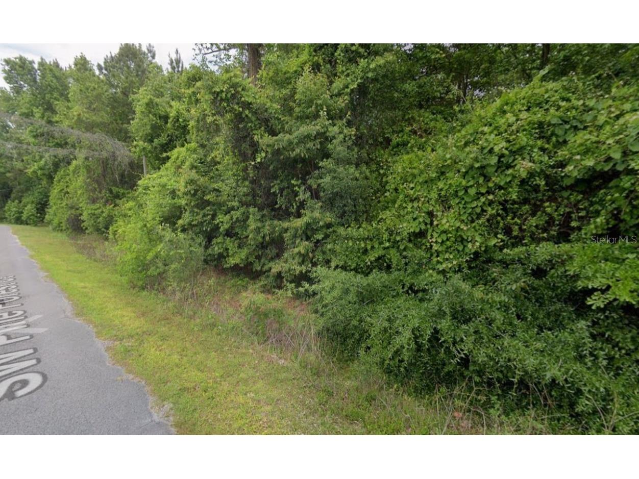 291 SW Pine Forest Court Lake City FL 32024 C7518684 image3