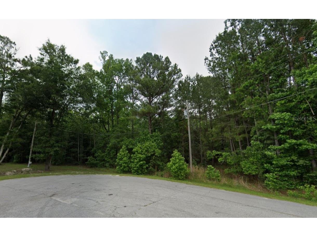 291 SW Pine Forest Court Lake City FL 32024 C7518684 image4