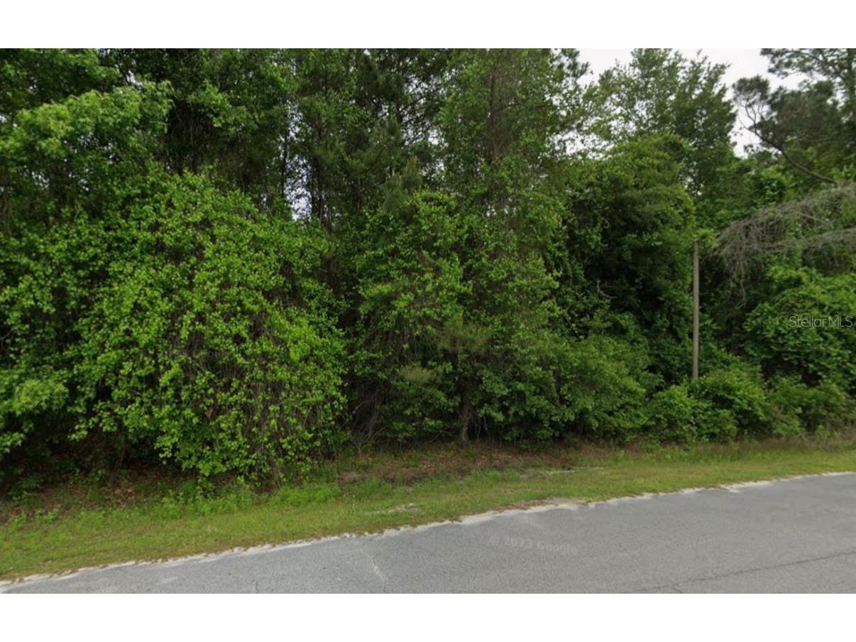 291 SW Pine Forest Court Lake City FL 32024 C7518684 image6