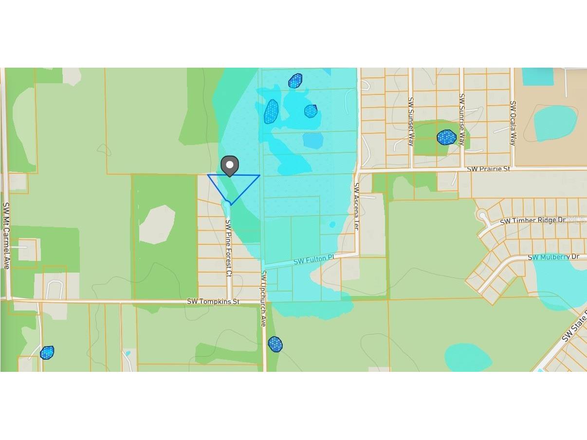 291 SW Pine Forest Court Lake City FL 32024 C7518684 image8