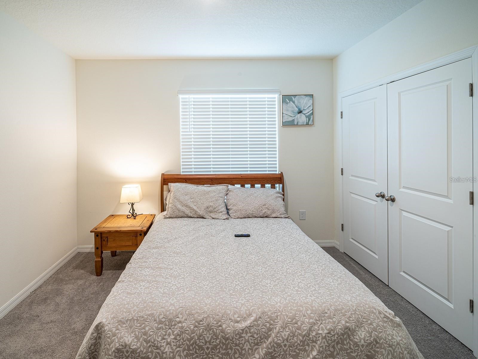 2910 Boxwood Grove Row Wesley Chapel FL 33543 TB8467395 image10