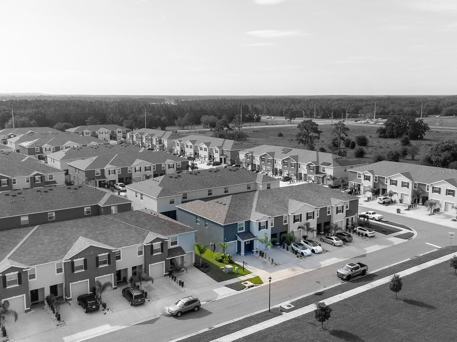 2910 Boxwood Grove Row Wesley Chapel FL 33543 TB8467395 image23