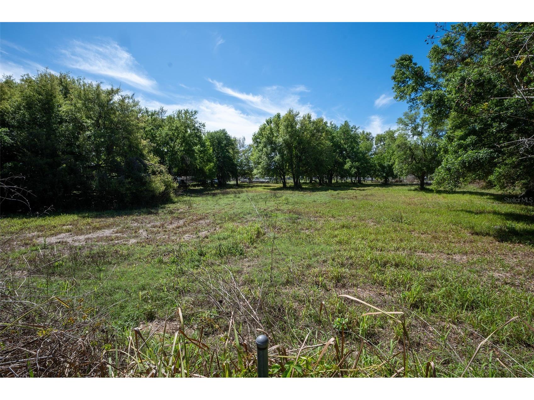 2910 Frank Moore Road Plant City FL 33566 L4962203 image9
