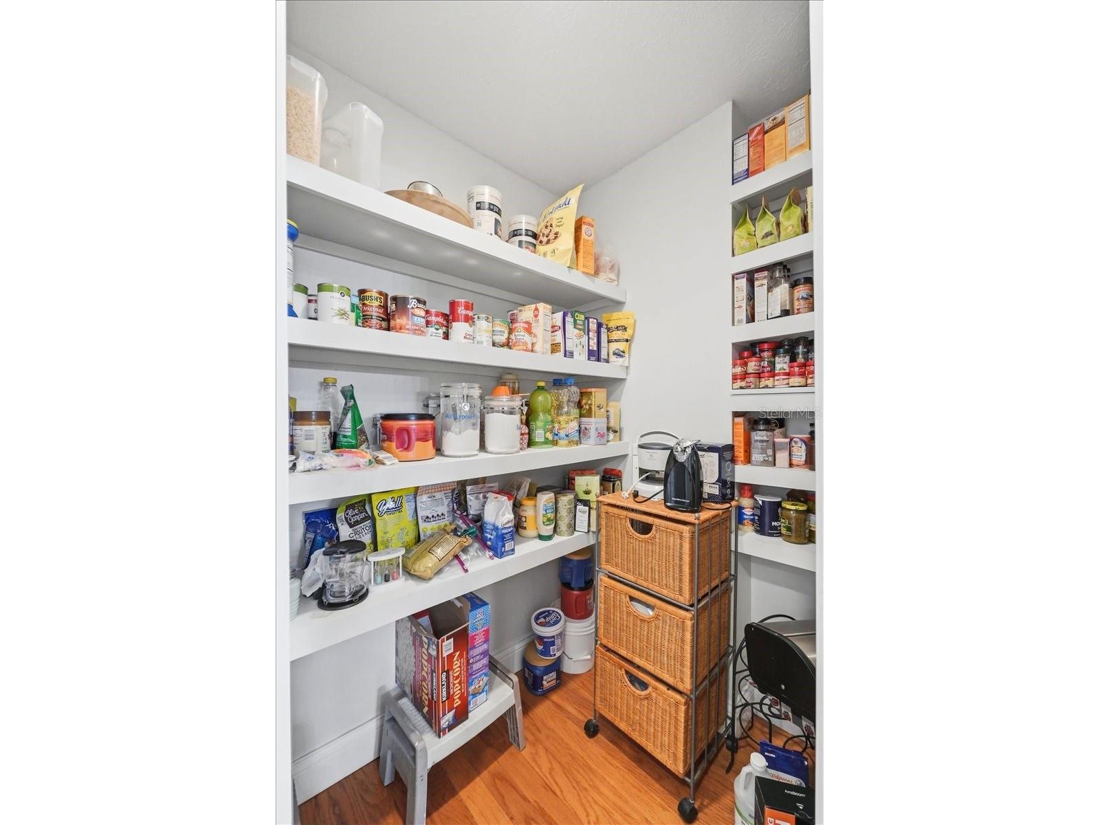 2910 Fritzke Road Dover FL 33527 L4961746 image48