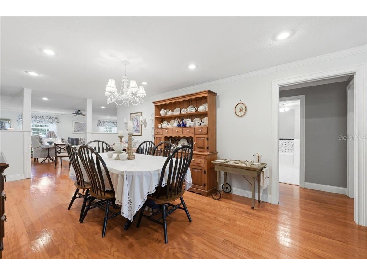 2910 Fritzke Road Dover FL 33527 L4961746 image5