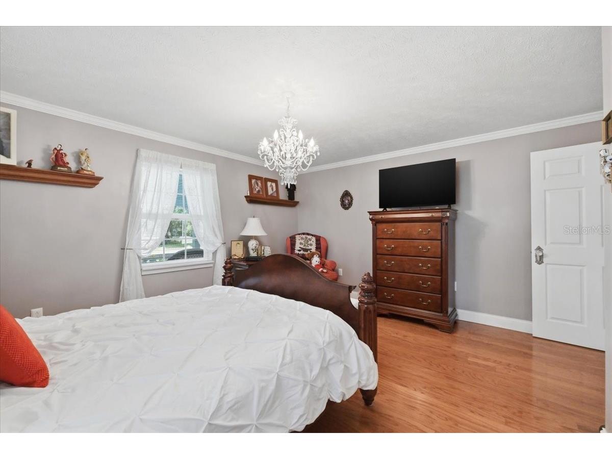 2910 Fritzke Road Dover FL 33527 L4961746 image61