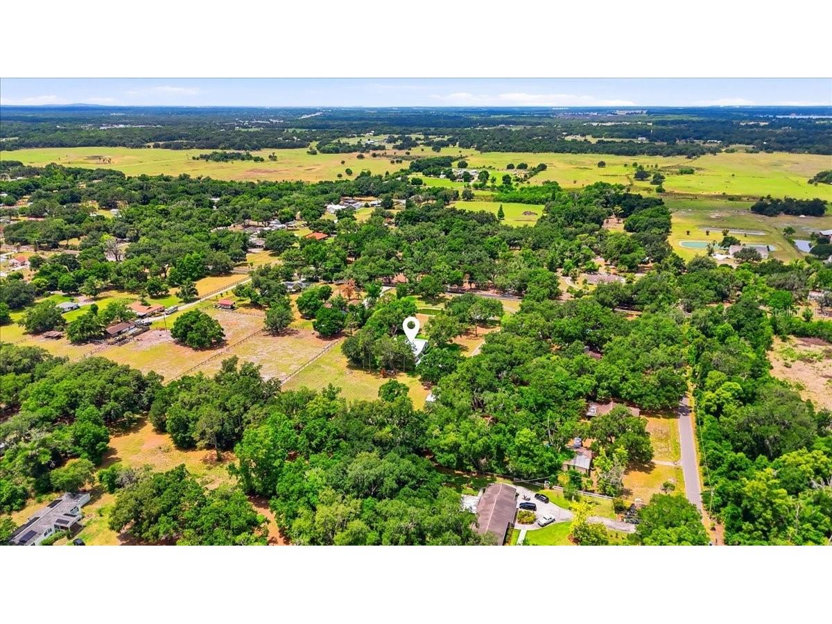 2910 Fritzke Road Dover FL 33527 L4961746 image99