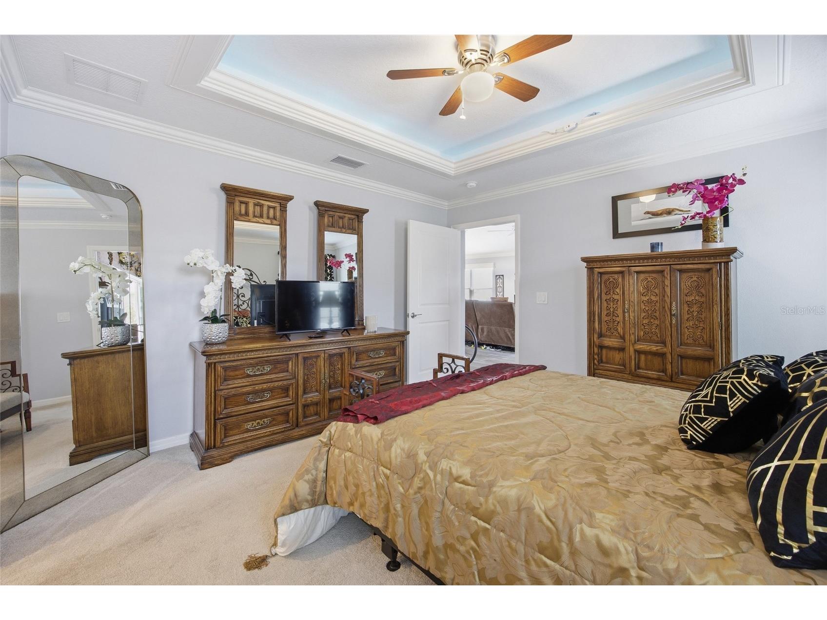 2910 Monument Way The Villages FL 32163 OM721888 image10
