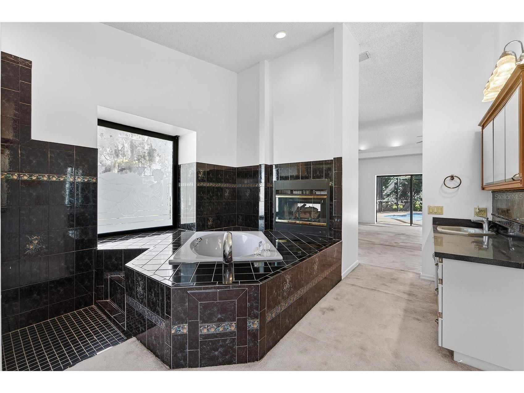 2910 Pine Club Drive Plant City FL 33566 TB8477570 image33