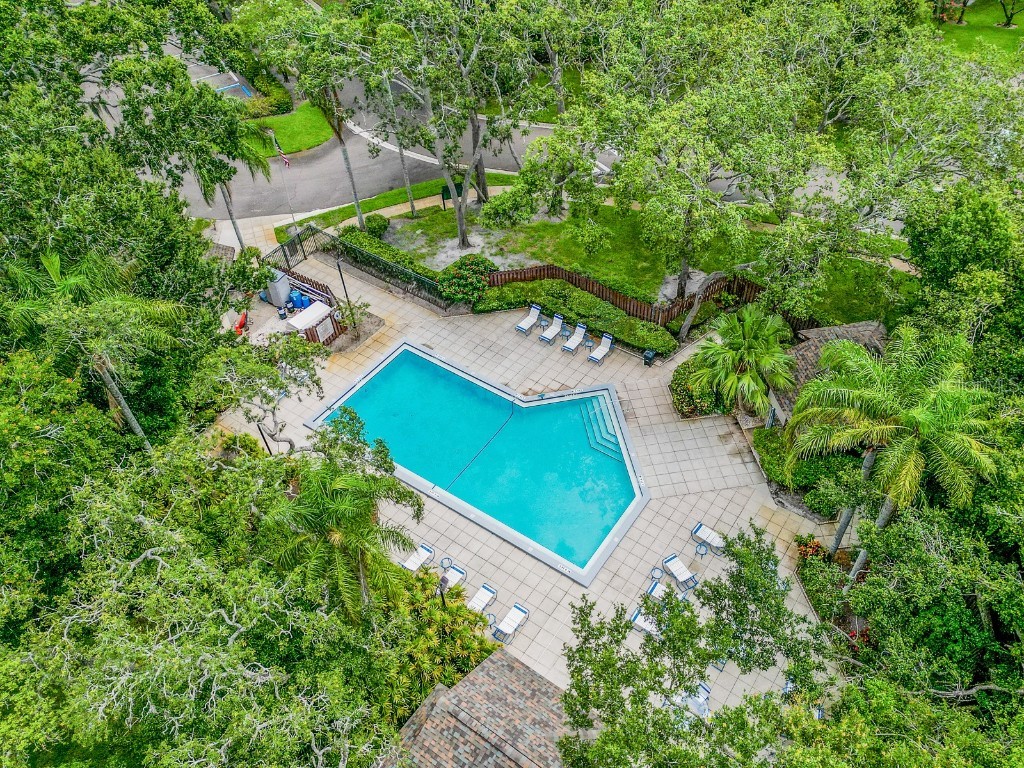 2910 Star Apple Court Palm Harbor FL 34684 TB8382789 image16