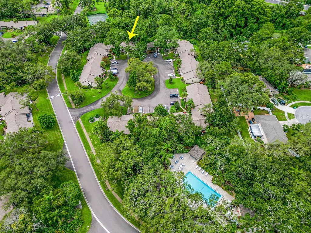 2910 Star Apple Court Palm Harbor FL 34684 TB8382789 image17