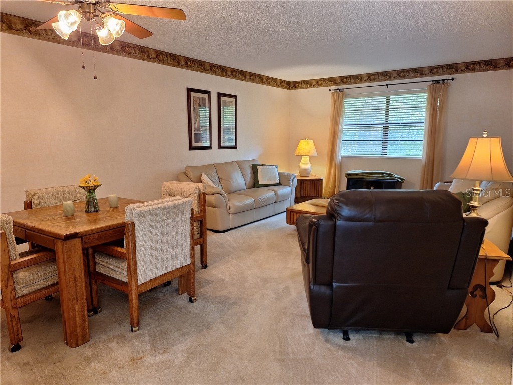 2910 Star Apple Court Palm Harbor FL 34684 TB8382789 image5