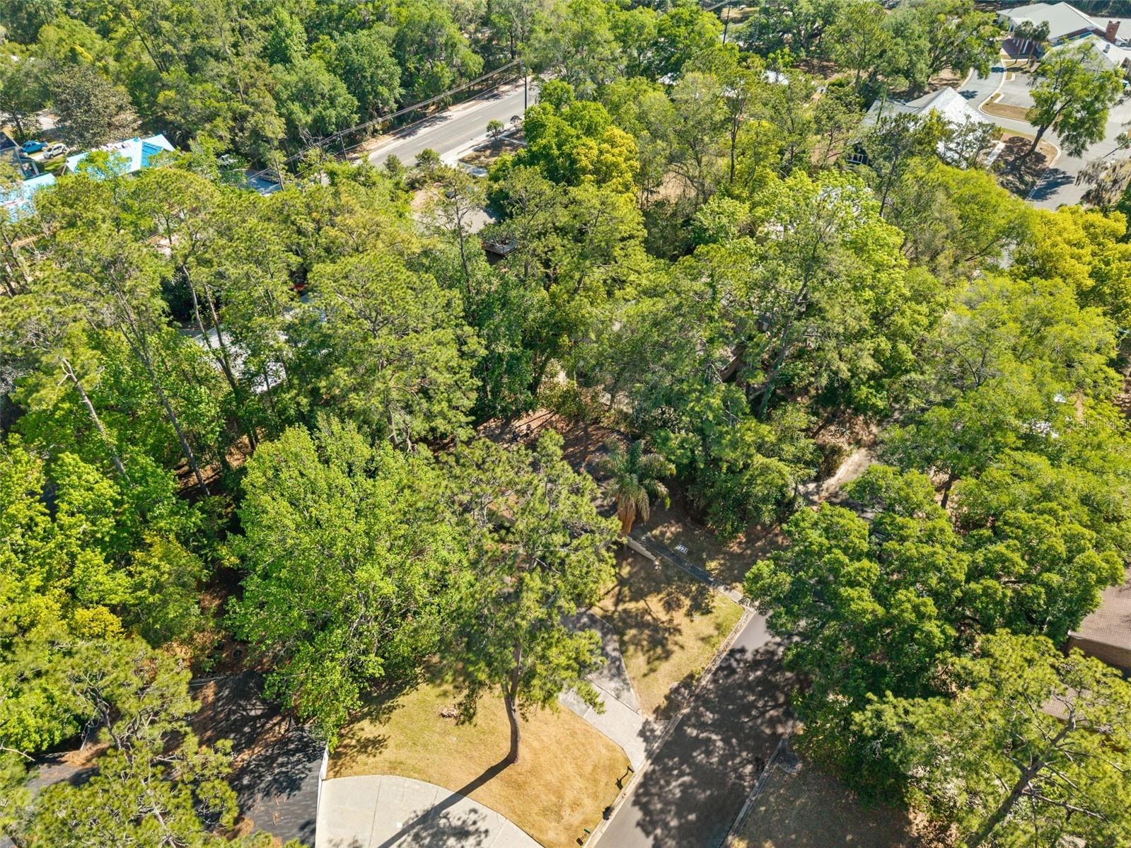 2910 SW 1st Avenue Gainesville FL 32607 OM719355 image25