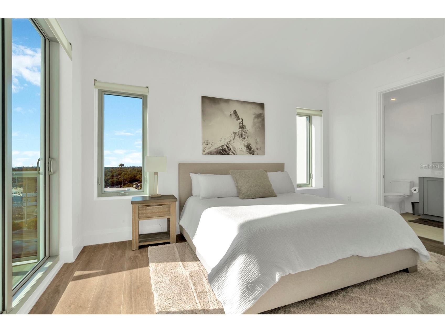 2910 W Barcelona Street #1004 Tampa FL 33629 TB8504435 image28