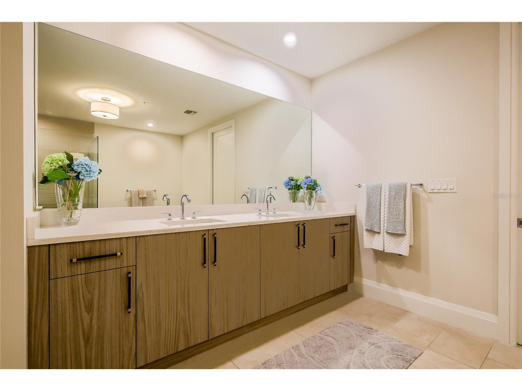 2910 W Barcelona Street #501 Tampa FL 33629 TB8519521 image16