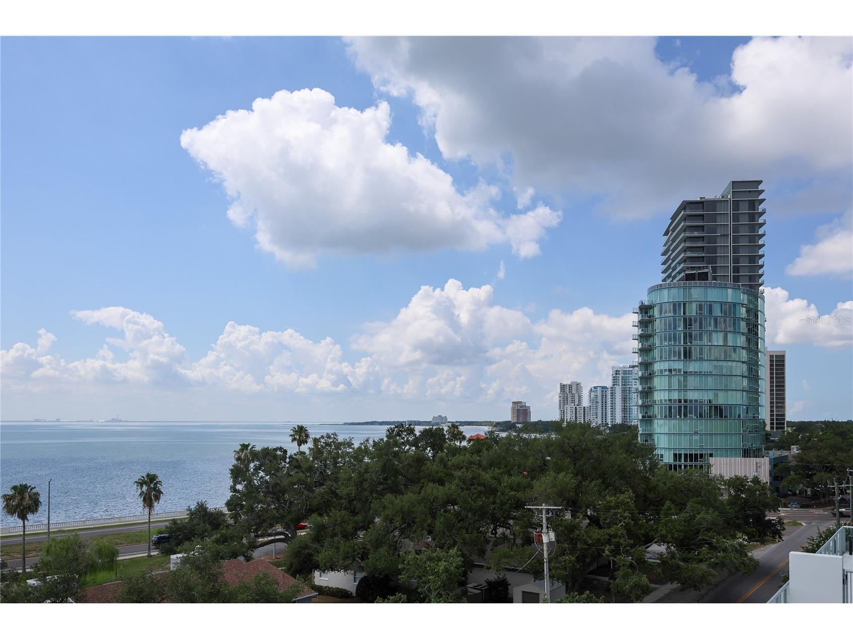 2910 W Barcelona Street #501 Tampa FL 33629 TB8519521 image34