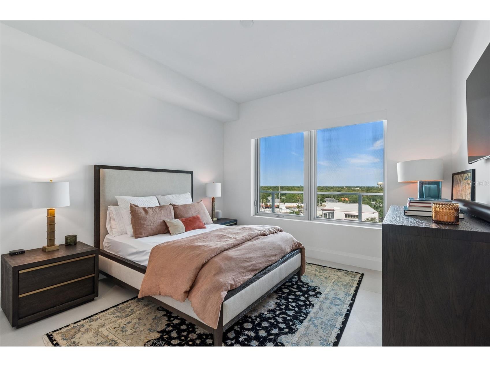 2910 W Barcelona Street #902 Tampa FL 33629 TB8507385 image35