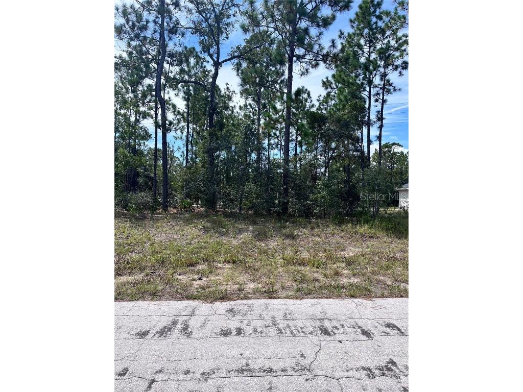 2910 W Rutland Drive Citrus Springs FL 34433 OM708063 image1