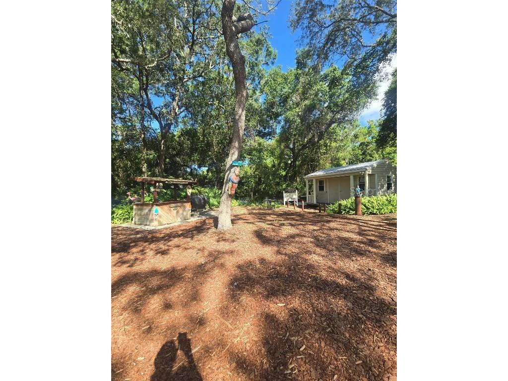 2910 Wekiva Road Tavares FL 32778 O6346845 image38