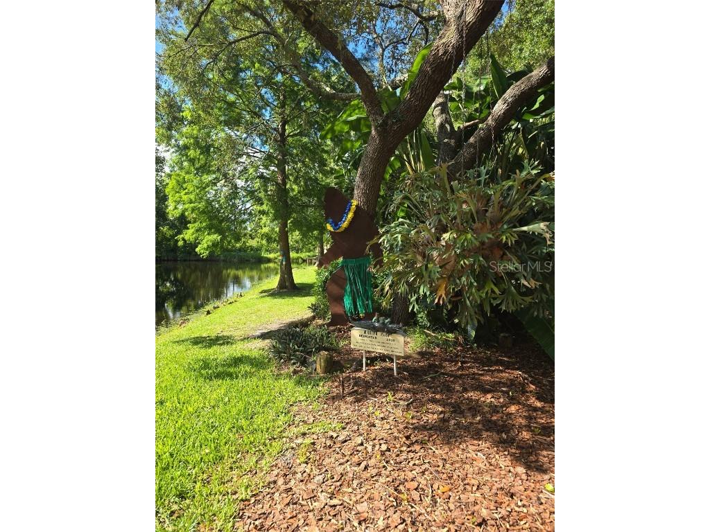 2910 Wekiva Road Tavares FL 32778 O6346845 image39