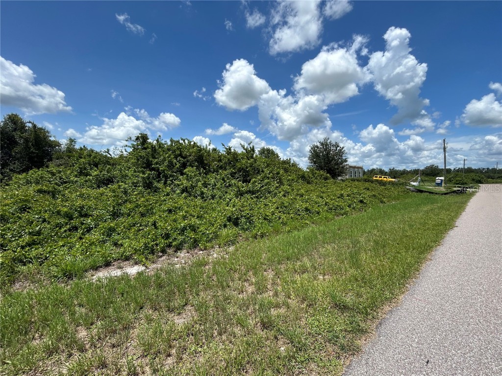 29100 Alfaretta Avenue Punta Gorda FL 33982 C7511051 image1