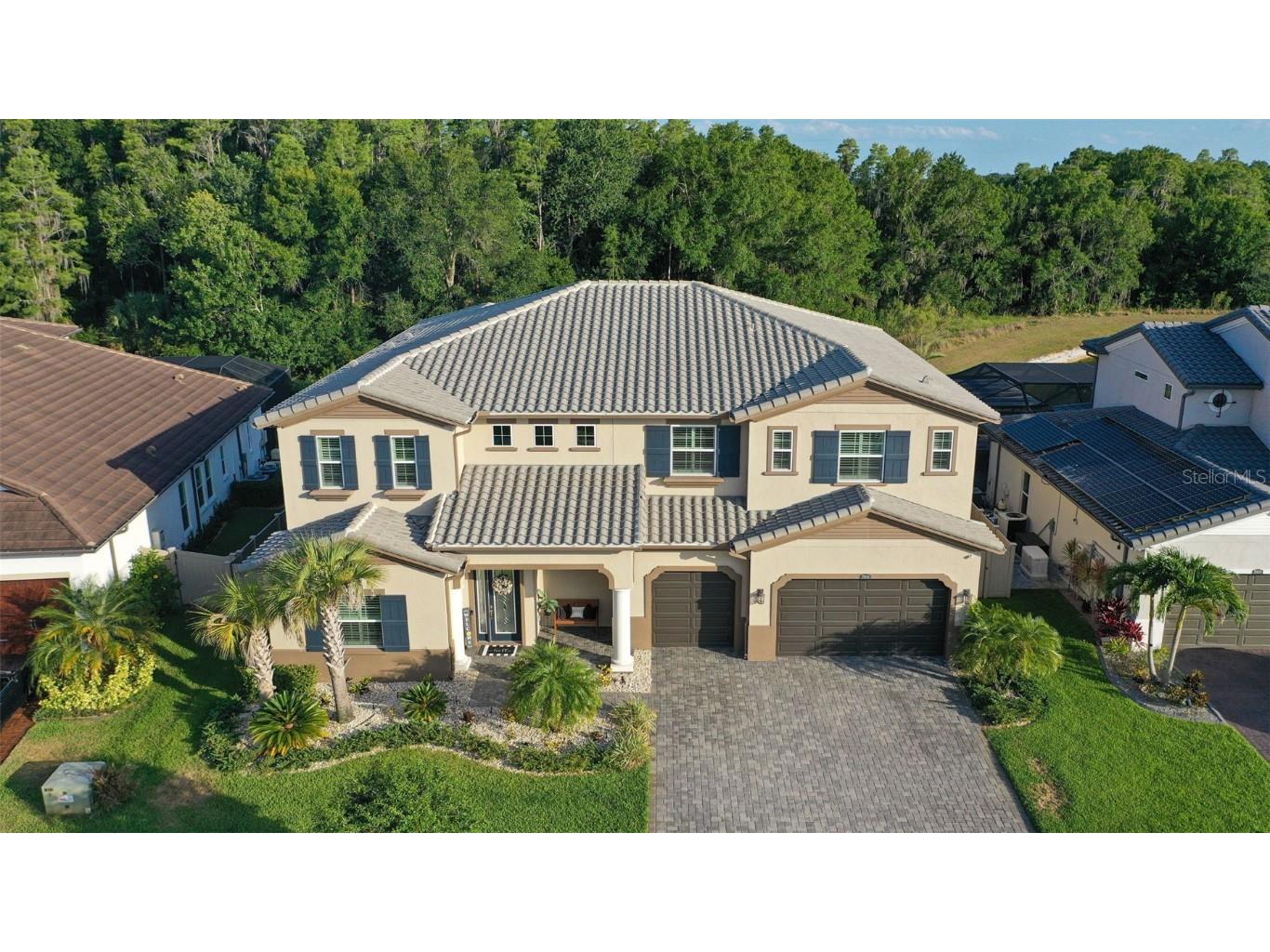 29104 Picana Lane Wesley Chapel FL 33543 T3532021 image1