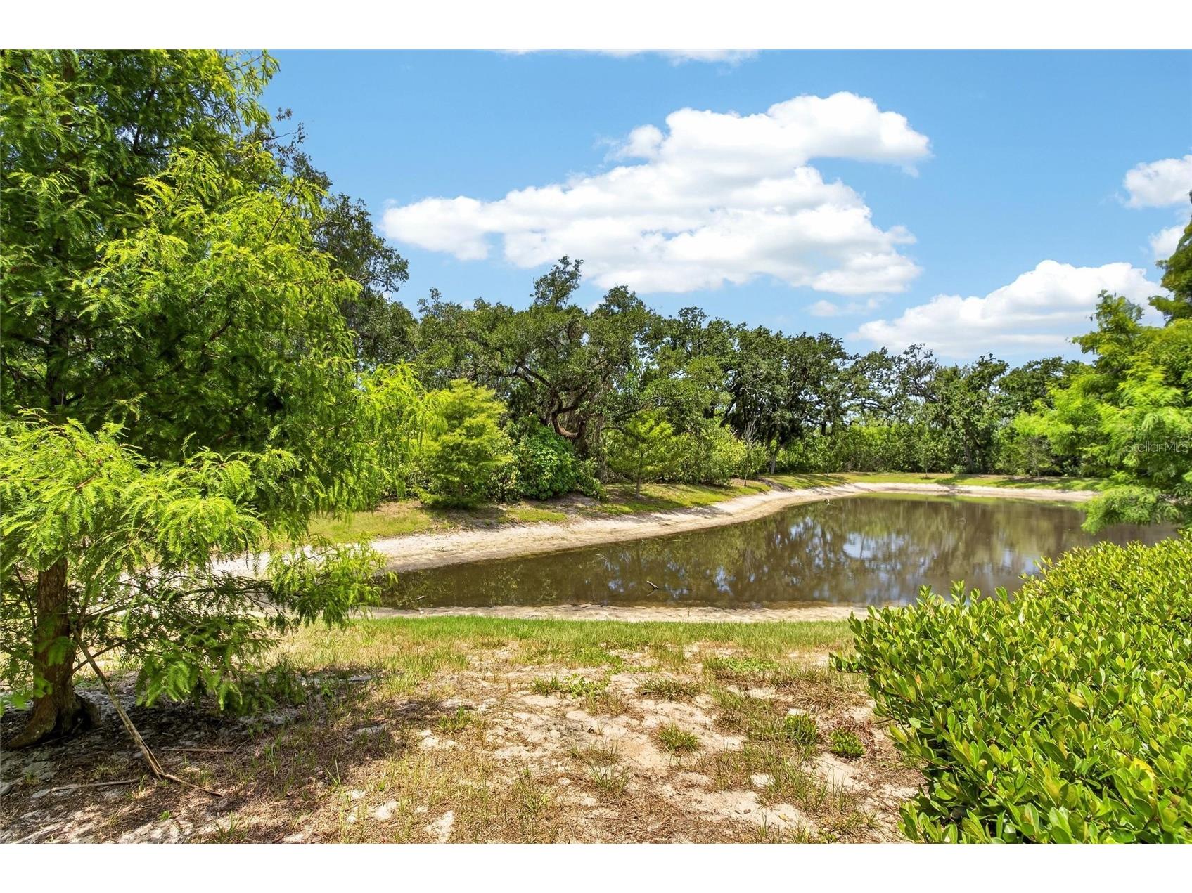 2911 Jacob Crossing Lane Holiday FL 34691 TB8519042 image2