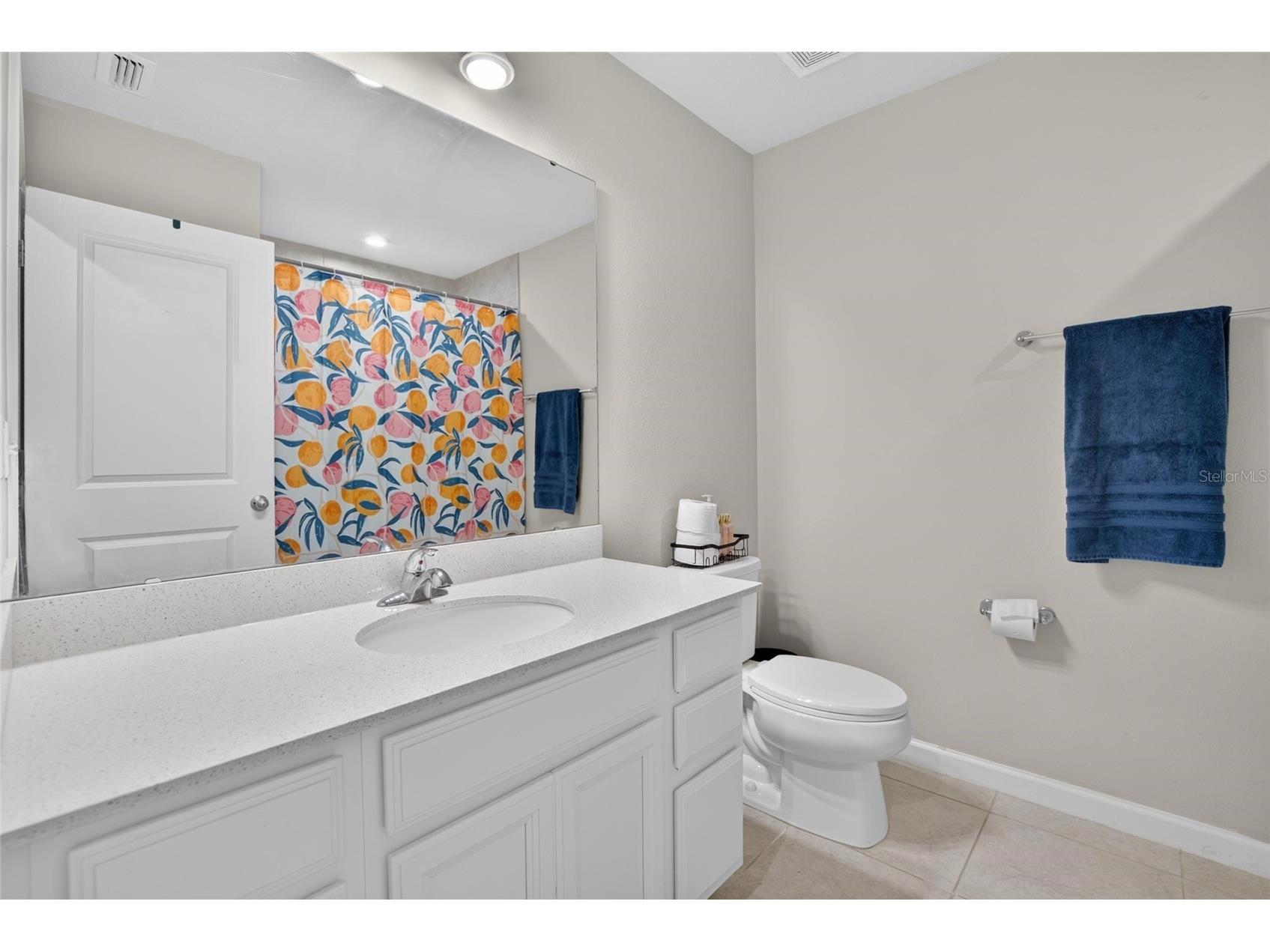 2911 Jacob Crossing Lane Holiday FL 34691 TB8519042 image33