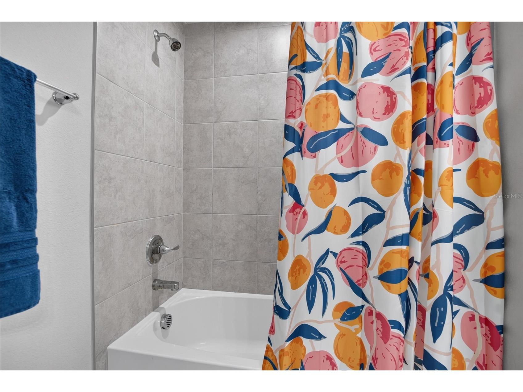 2911 Jacob Crossing Lane Holiday FL 34691 TB8519042 image34