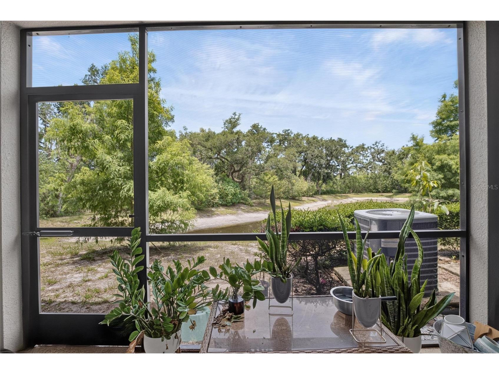 2911 Jacob Crossing Lane Holiday FL 34691 TB8519042 image38
