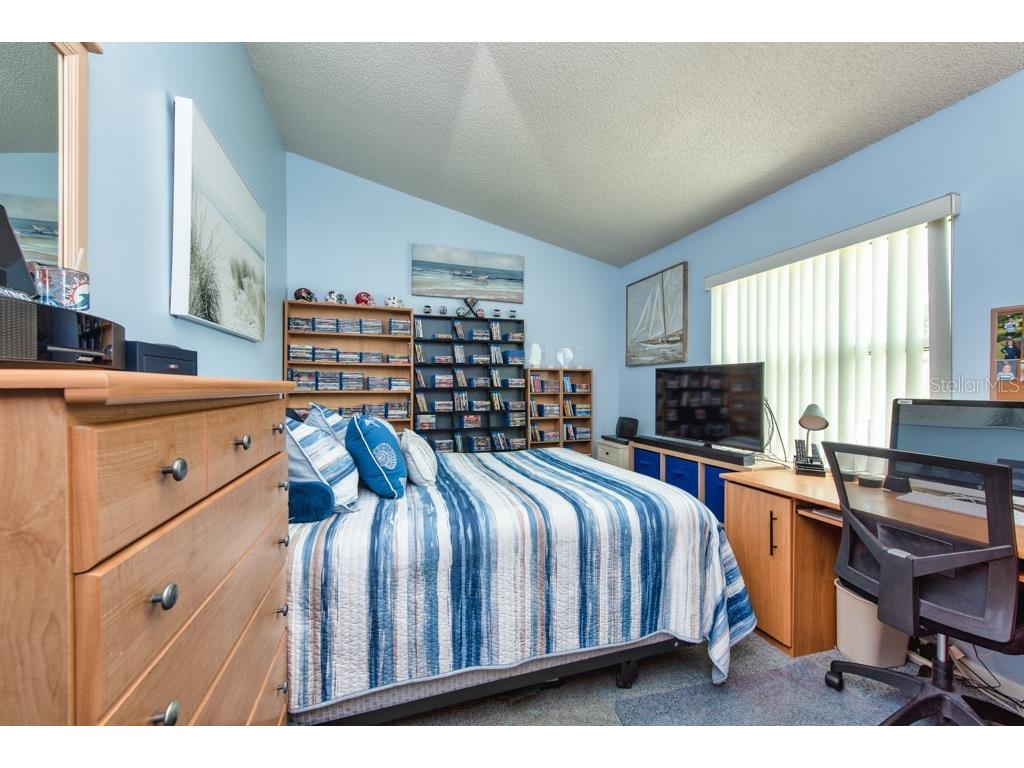 2911 Lahlor Lane Palm Harbor FL 34684 TB8493799 image21