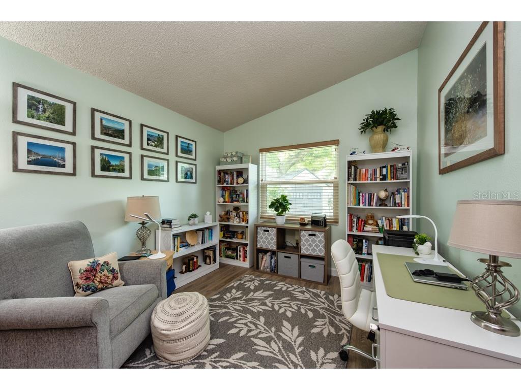 2911 Lahlor Lane Palm Harbor FL 34684 TB8493799 image23