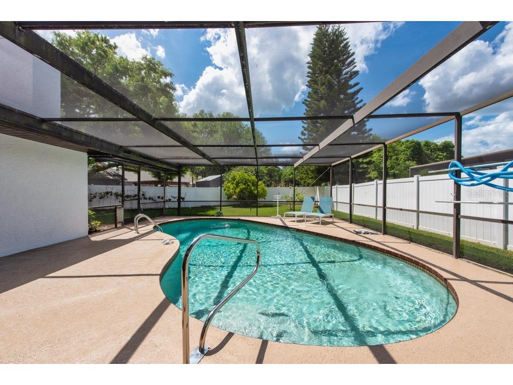 2911 Lahlor Lane Palm Harbor FL 34684 TB8493799 image28