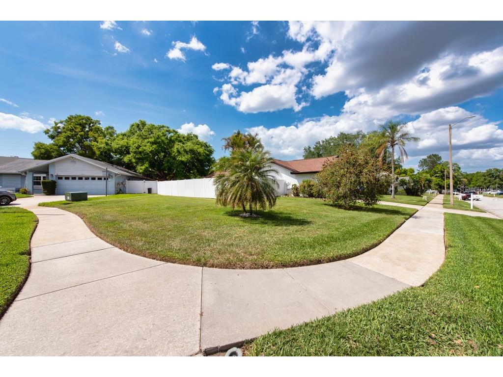 2911 Lahlor Lane Palm Harbor FL 34684 TB8493799 image34