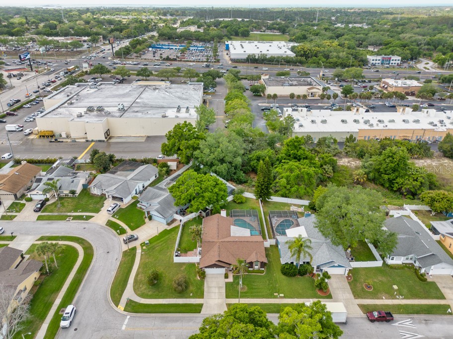 2911 Lahlor Lane Palm Harbor FL 34684 TB8493799 image38