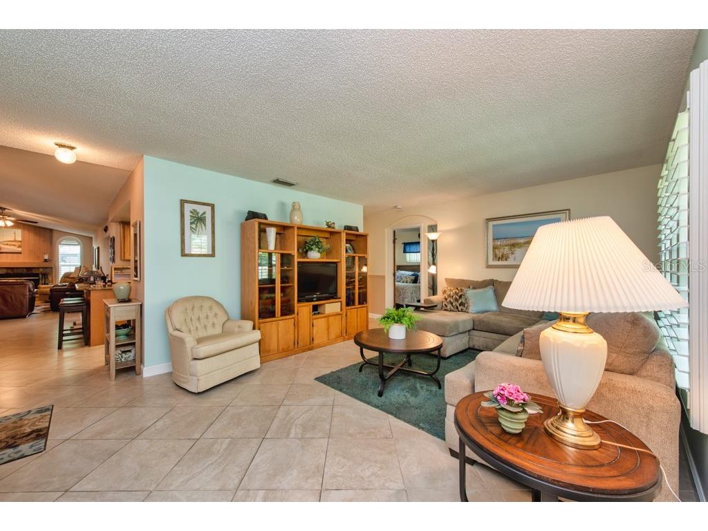 2911 Lahlor Lane Palm Harbor FL 34684 TB8493799 image4