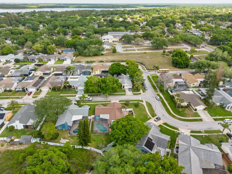 2911 Lahlor Lane Palm Harbor FL 34684 TB8493799 image40
