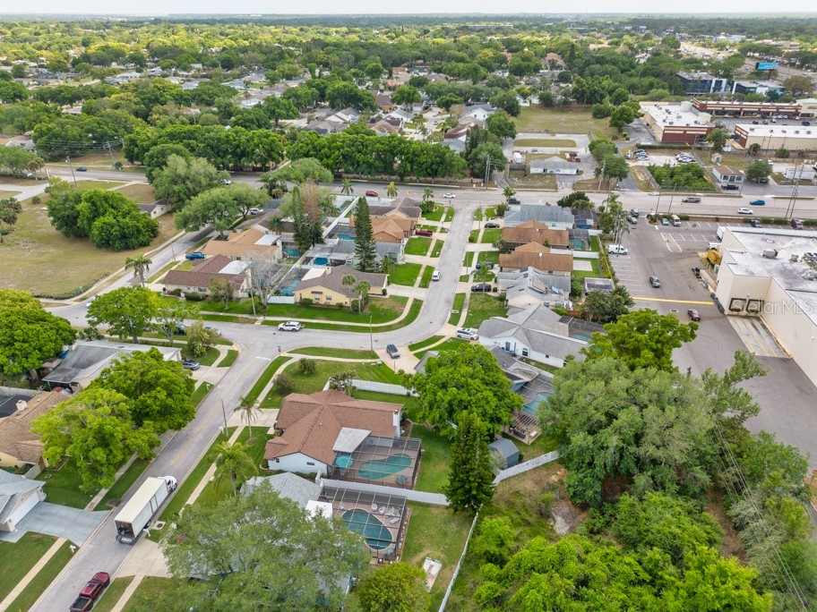 2911 Lahlor Lane Palm Harbor FL 34684 TB8493799 image41