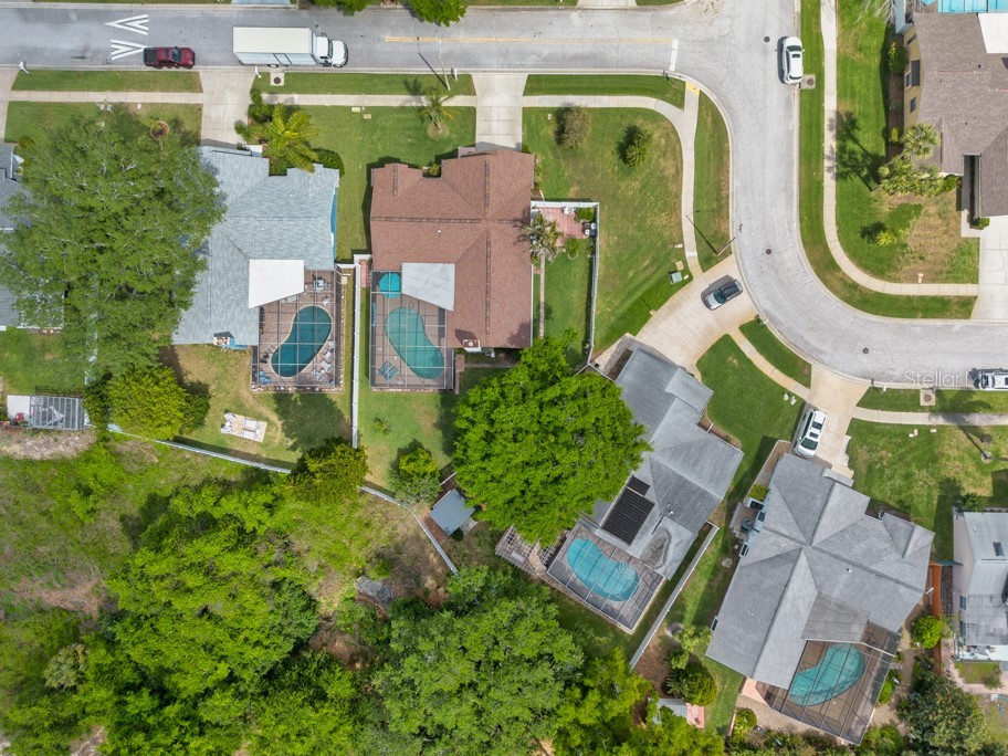 2911 Lahlor Lane Palm Harbor FL 34684 TB8493799 image42