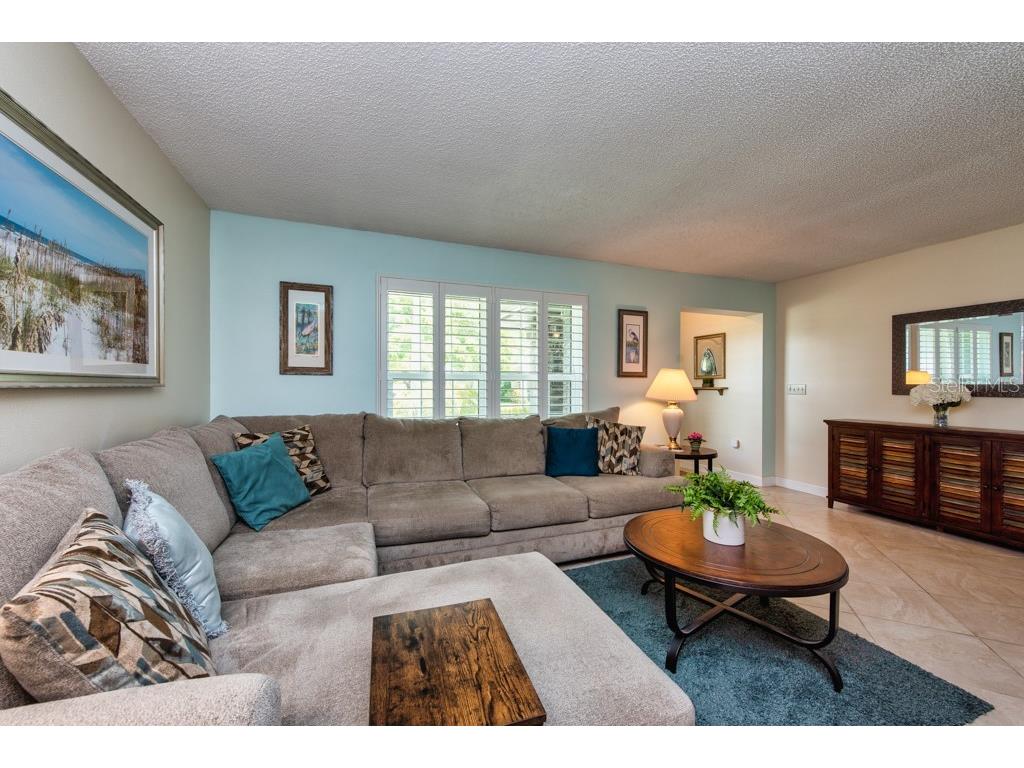 2911 Lahlor Lane Palm Harbor FL 34684 TB8493799 image6