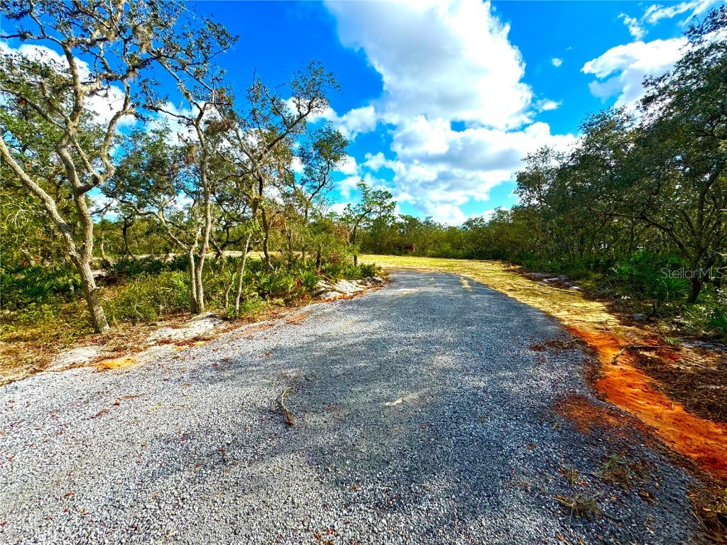 2911 Sand Pine Trail Frostproof FL 33843 O6256896 image1