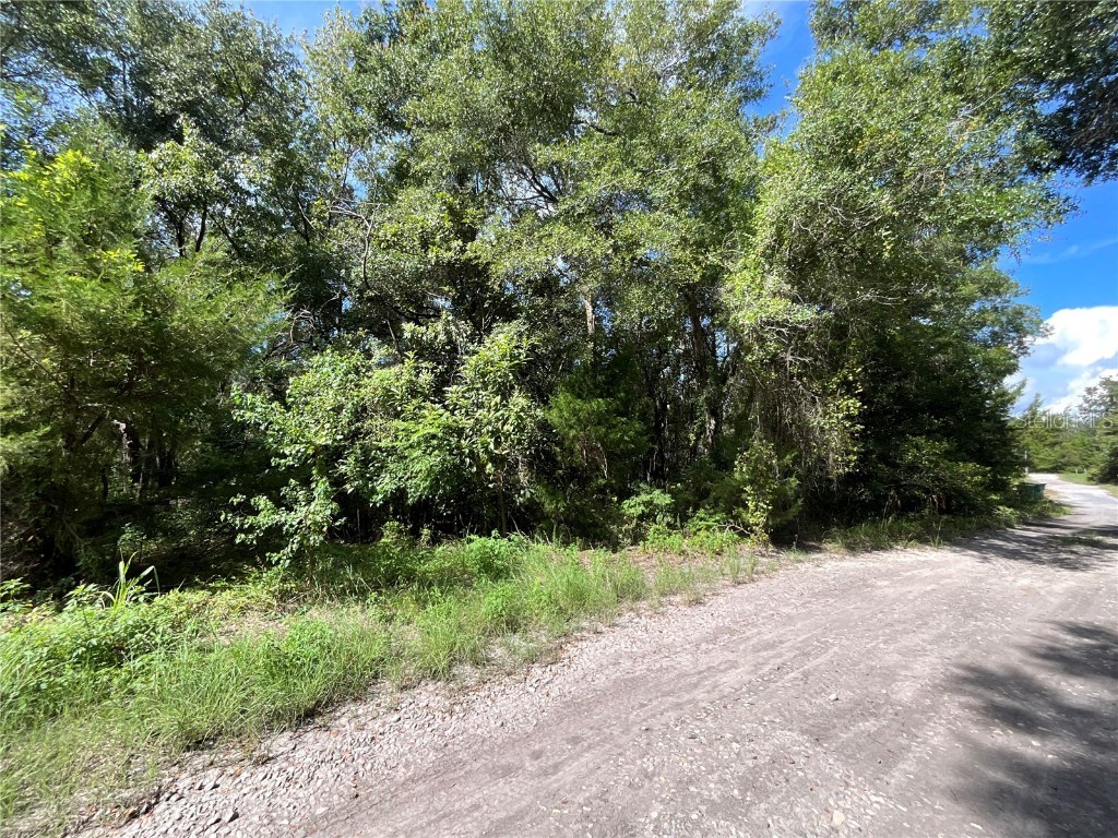 2911 Van Buren Street Inverness FL 34453 TB8413293 image1