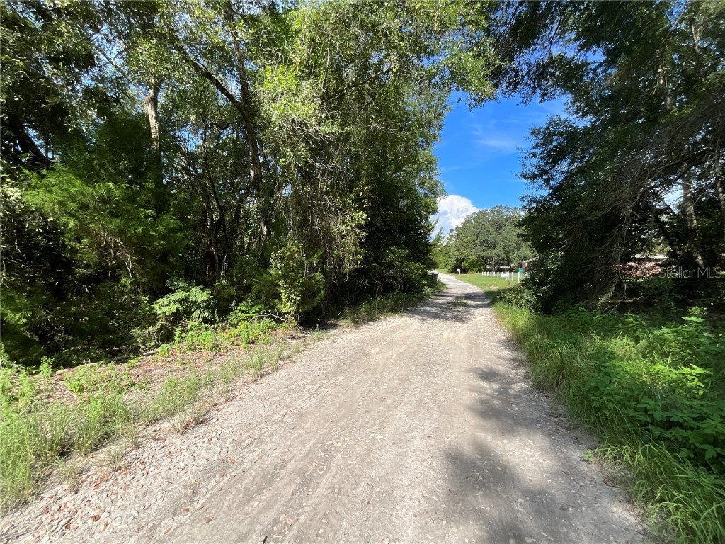 2911 Van Buren Street Inverness FL 34453 TB8413293 image4