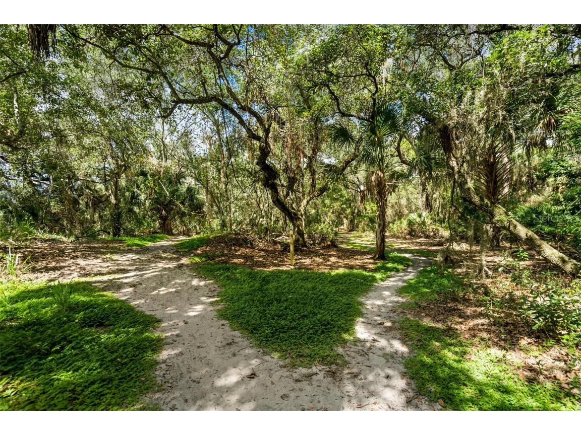 2911 Woodpine Court Sarasota FL 34231 W7881796 image59