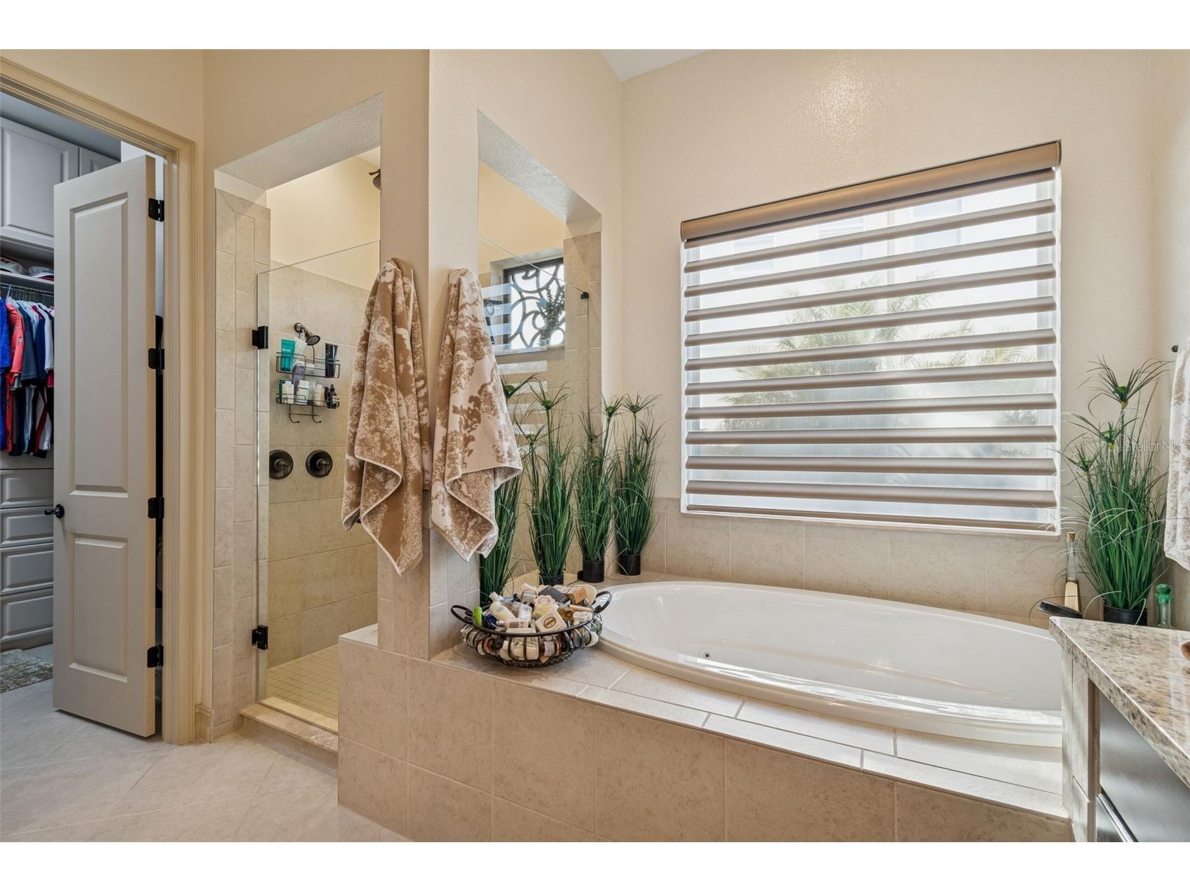 29118 Picana Lane Wesley Chapel FL 33543 TB8472655 image18