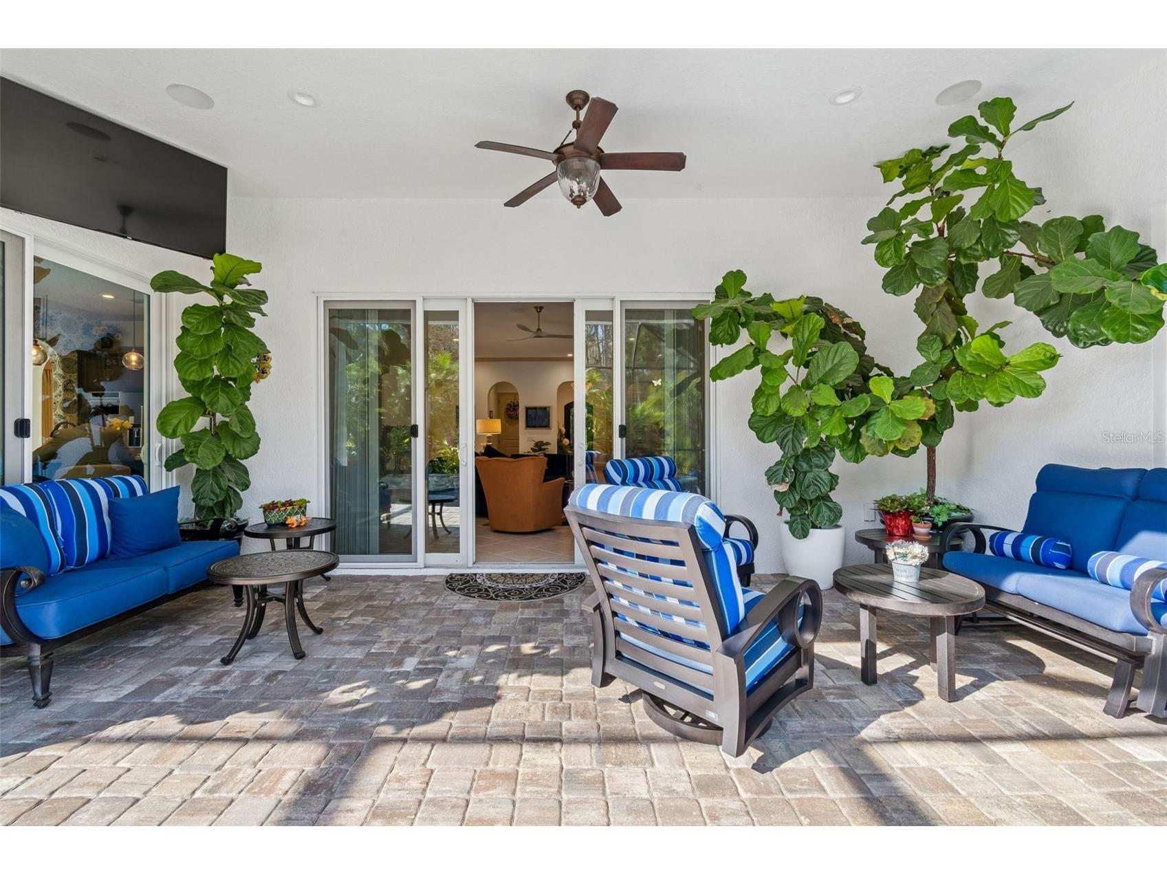 29118 Picana Lane Wesley Chapel FL 33543 TB8472655 image26