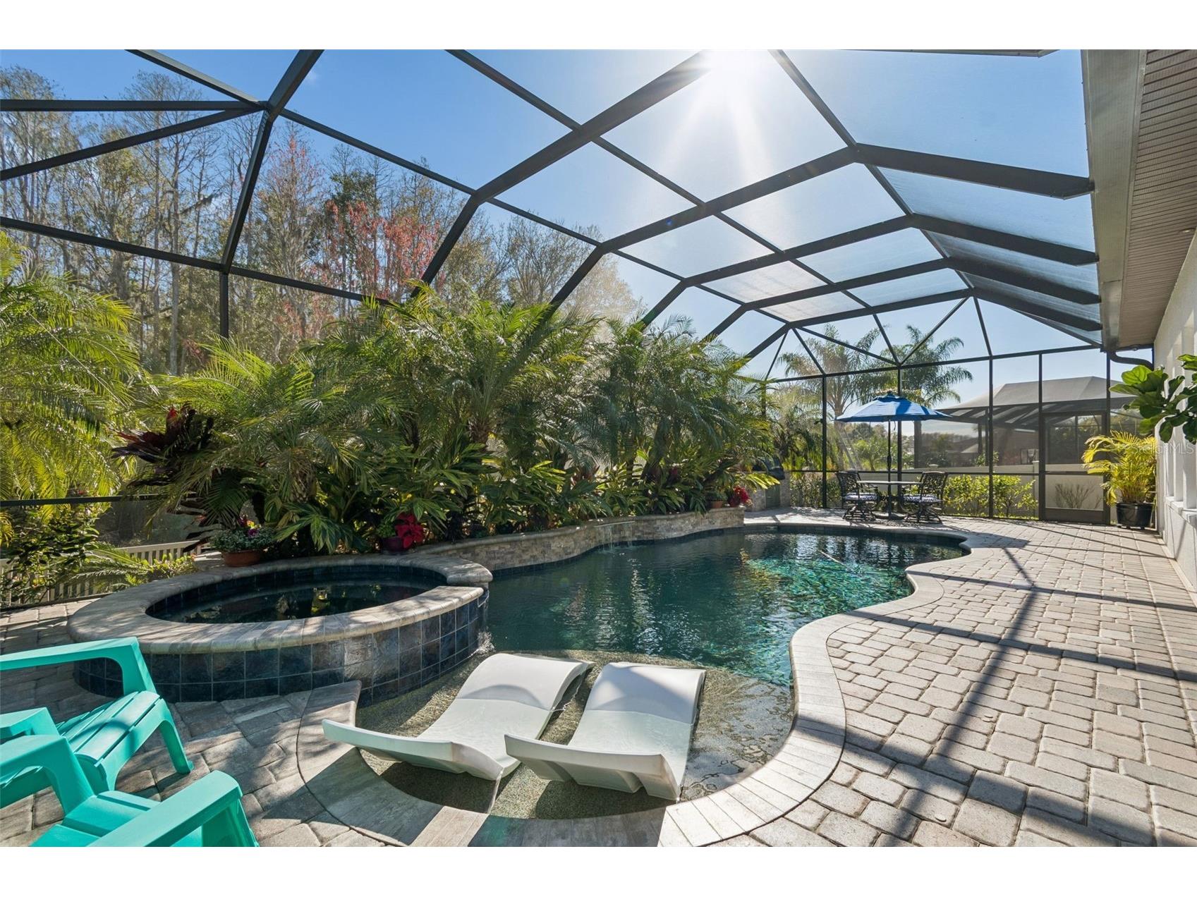 29118 Picana Lane Wesley Chapel FL 33543 TB8472655 image27